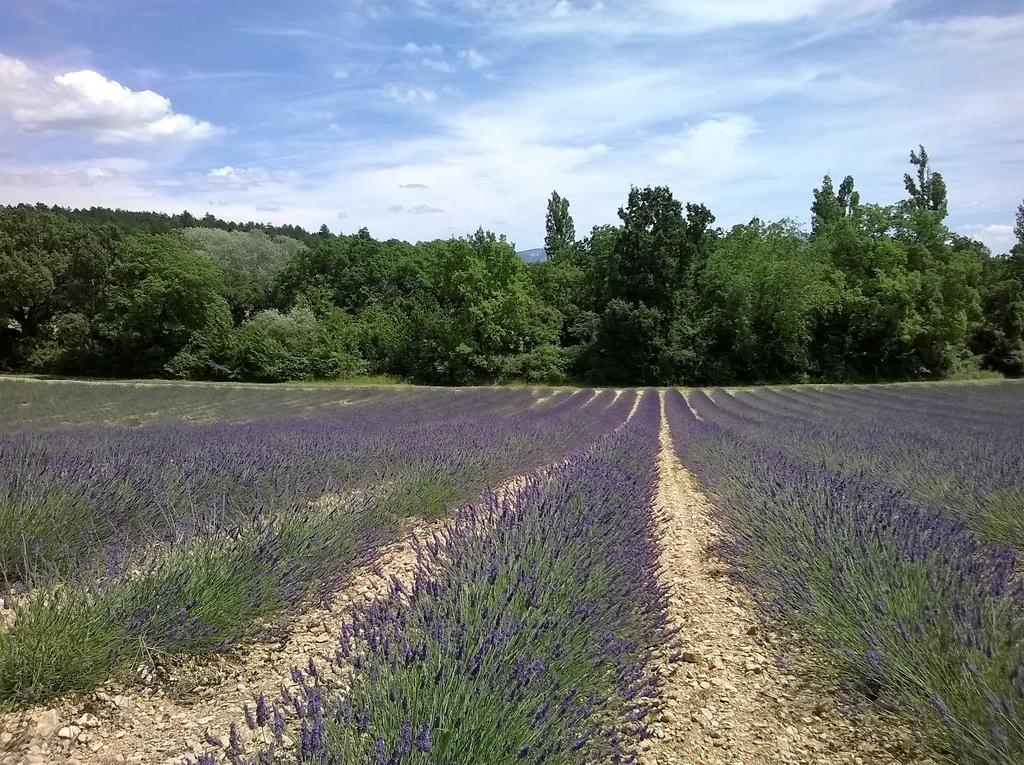 Hotel Sainte Anne "Le Verdon" Les Salles-sur-Verdon Eksteriør bilde